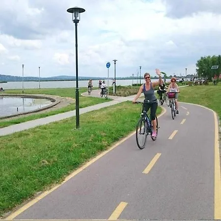 Nest Guesthouse-house For 16 People By The * Gárdony