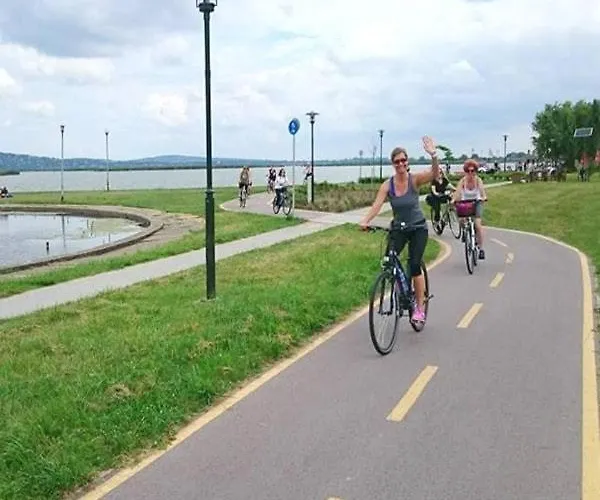 Nest Guesthouse-house For 16 People By The * Gárdony